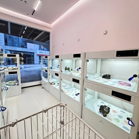 Smart Pet Boarding Cabin