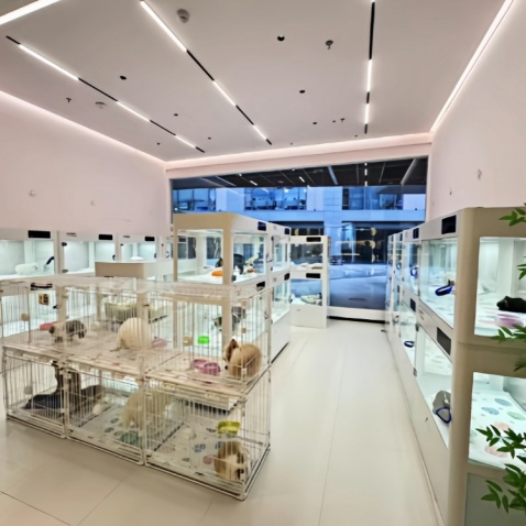 Smart Pet Boarding Cabin