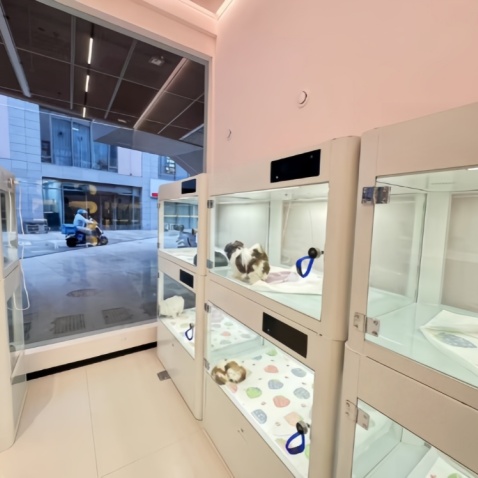 Smart Pet Boarding Cabin