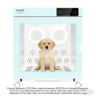 Boîte de séchage automatique pour chiens