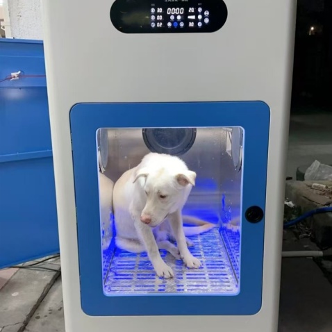 Machine de lavage et de séchage entièrement automatique pour animaux de compagnie
