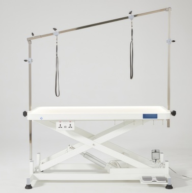 Table de toilettage électrique pour animaux avec plateau éclairé par LED