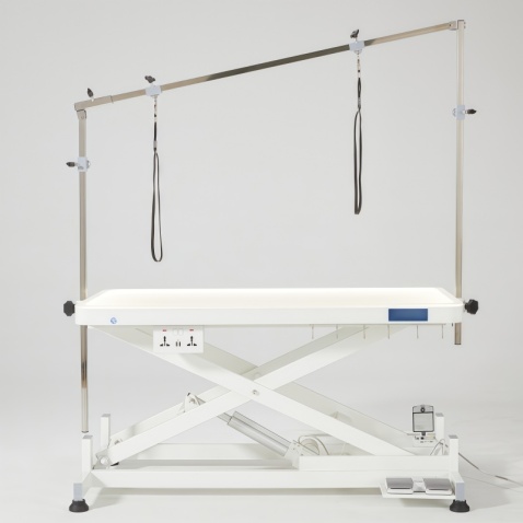 Table de toilettage électrique pour animaux avec plateau éclairé par LED