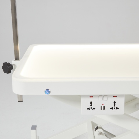 Table de toilettage électrique pour animaux avec plateau éclairé par LED