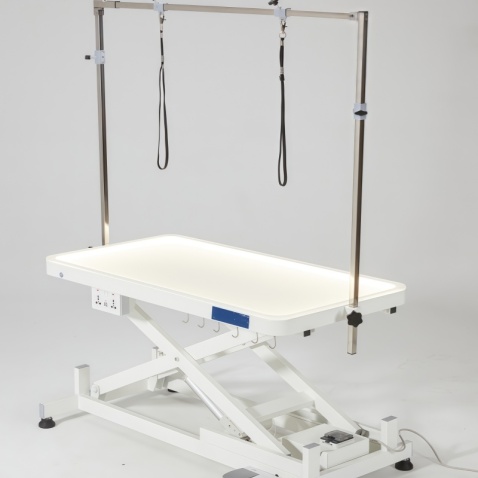 Table de toilettage électrique pour animaux avec plateau éclairé par LED