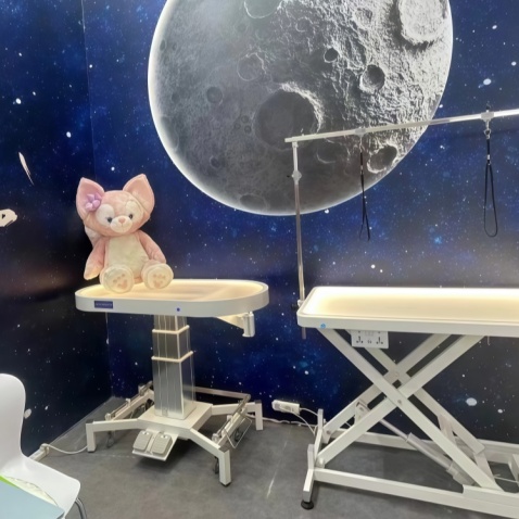 Table de toilettage électrique pour animaux avec plateau éclairé par LED