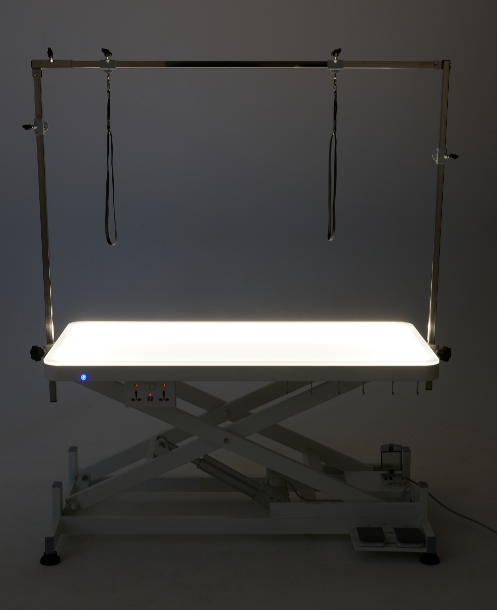 Electric Lift Pet Grooming Table