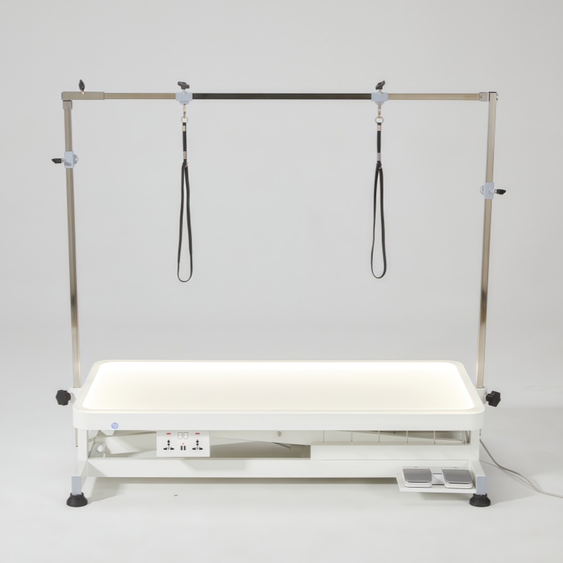 Electric Lift Pet Grooming Table