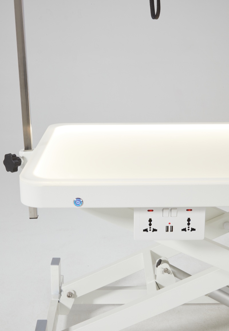 Electric Lift Pet Grooming Table with LED-illuminated Tabletop