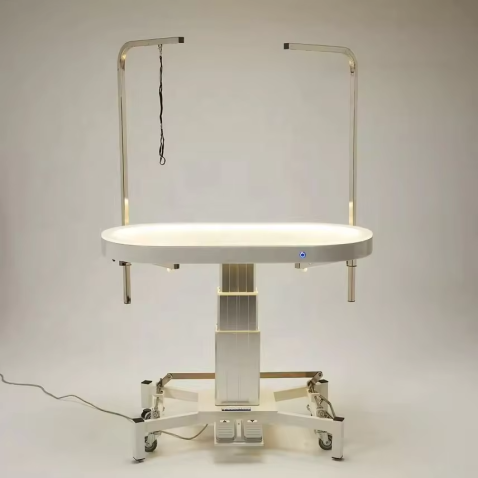 Table de toilettage pour chiens électrique à LED avec plateau de table et système de levage.