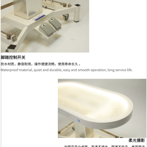 Table de toilettage pour chiens électrique à LED avec plateau de table et système de levage.