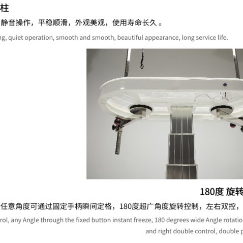 Table de toilettage pour chiens électrique à LED avec plateau de table et système de levage.
