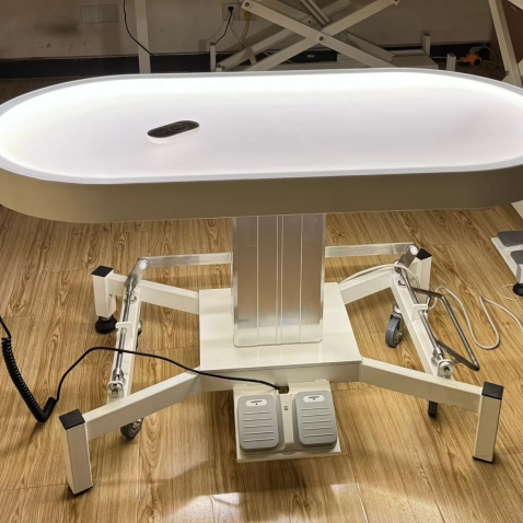 Table de toilettage pour chiens électrique à LED avec plateau de table et système de levage.