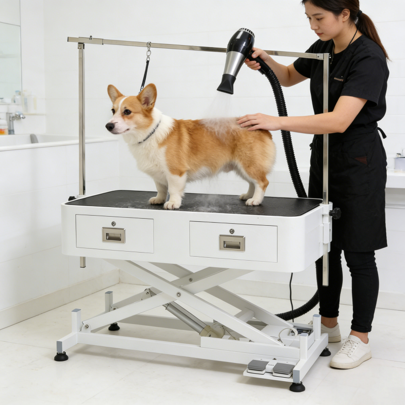 Electric Lift Pet Grooming Table with Drawers