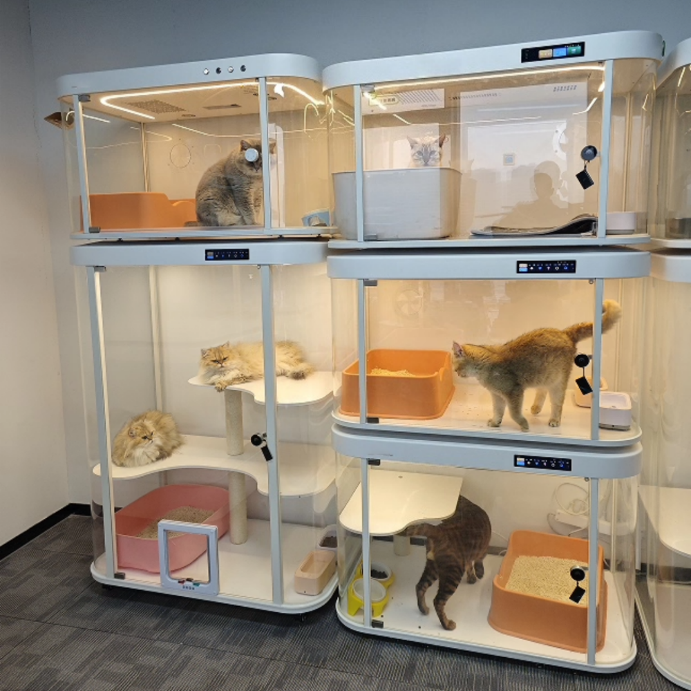 Smart Cat Cabin with Tree