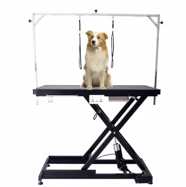 Table de toilettage électrique à levage direct du fabricant