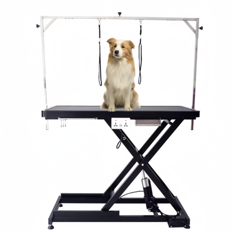 Table de toilettage électrique à levage direct du fabricant