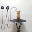 Table de toilettage hydraulique ronde pour animaux de compagnie