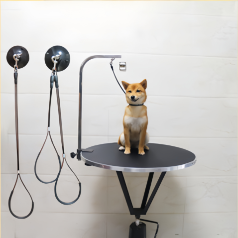 Table de toilettage hydraulique ronde pour animaux de compagnie