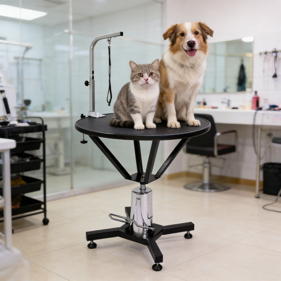 Hydraulic Lift Pet Grooming Table