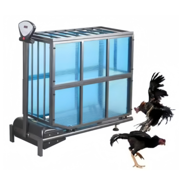 Chicken Treadmill Cock Treadmill for Cock Training
