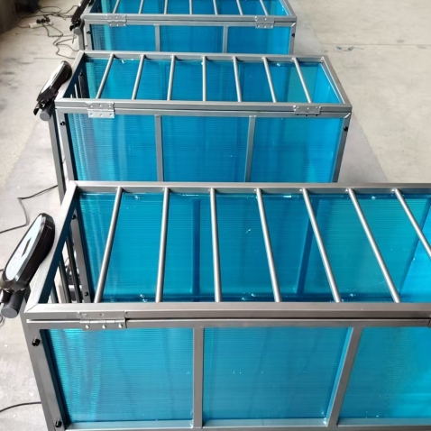 Chicken Treadmill Cock Treadmill for Cock Training