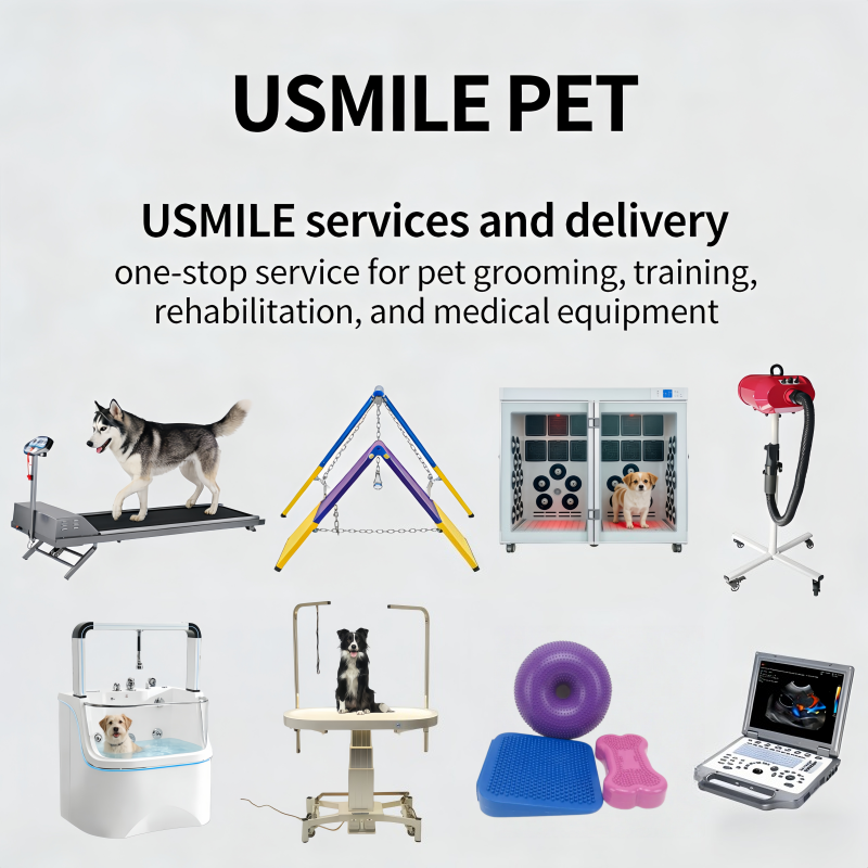 ТЫ УЛЫБАЕШЬСЯ ДОМАШНИЙ ПИТОМЕЦ Услуги и доставка