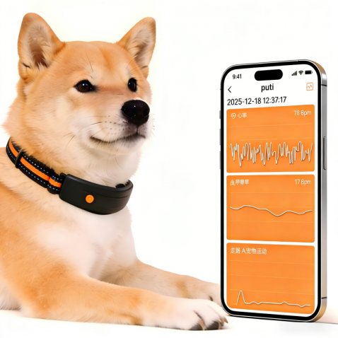Smart GPS Pet Collar with Health Monitoring