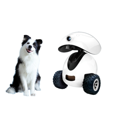 Smart Pet Companion Robot with Mobile Camera