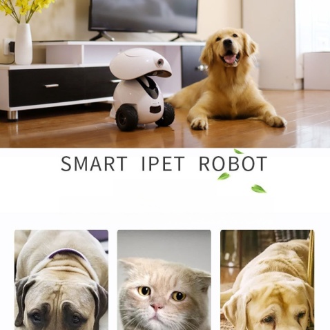 Smart Pet Companion Robot with Mobile Camera