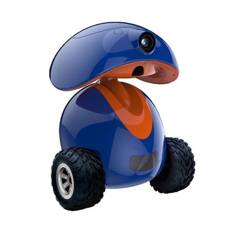 Smart Pet Companion Robot with Mobile Camera