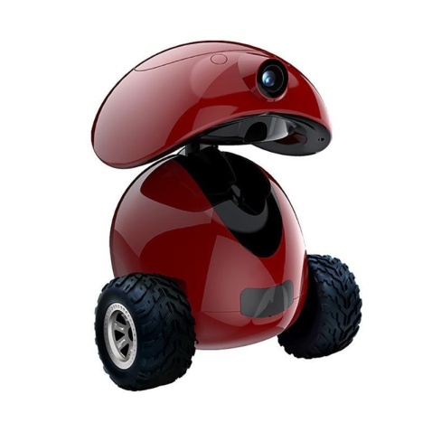Smart Pet Companion Robot with Mobile Camera