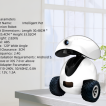 Smart Pet Companion Robot with Mobile Camera
