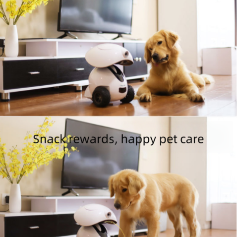 Smart Pet Companion Robot with Mobile Camera