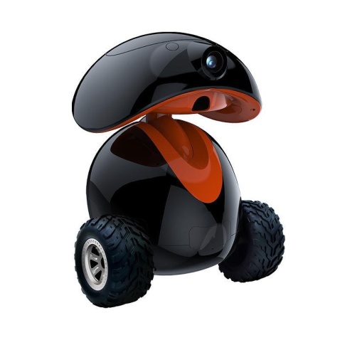 Smart Pet Companion Robot with Mobile Camera