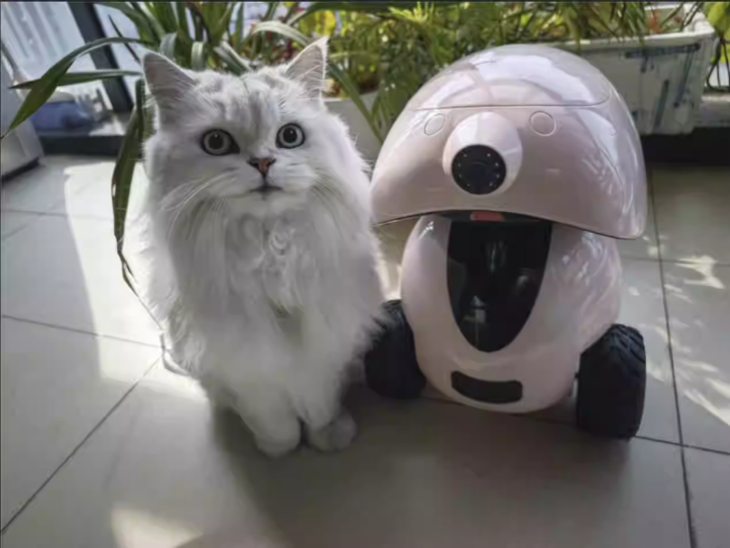 Smart Pet Companion Robot