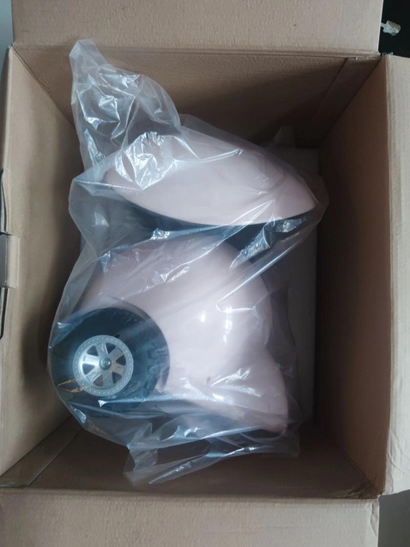 Smart Pet Companion Robot with Mobile Camera