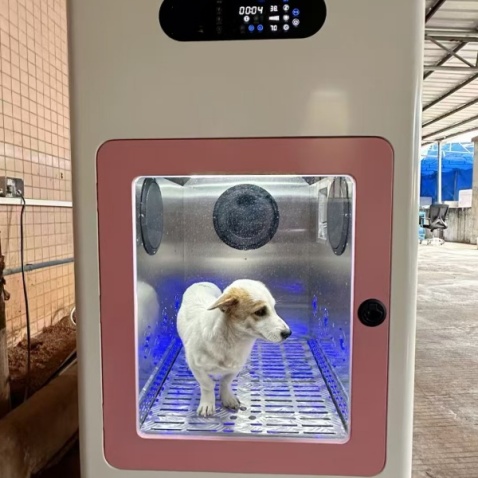 Automatic Pet Washing and Drying Machine