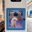 Automatic Pet Washing and Drying Machine
