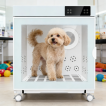 Boîte de séchage automatique pour chiens