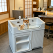 Pet Washing Station with Built-In Dryer Slot