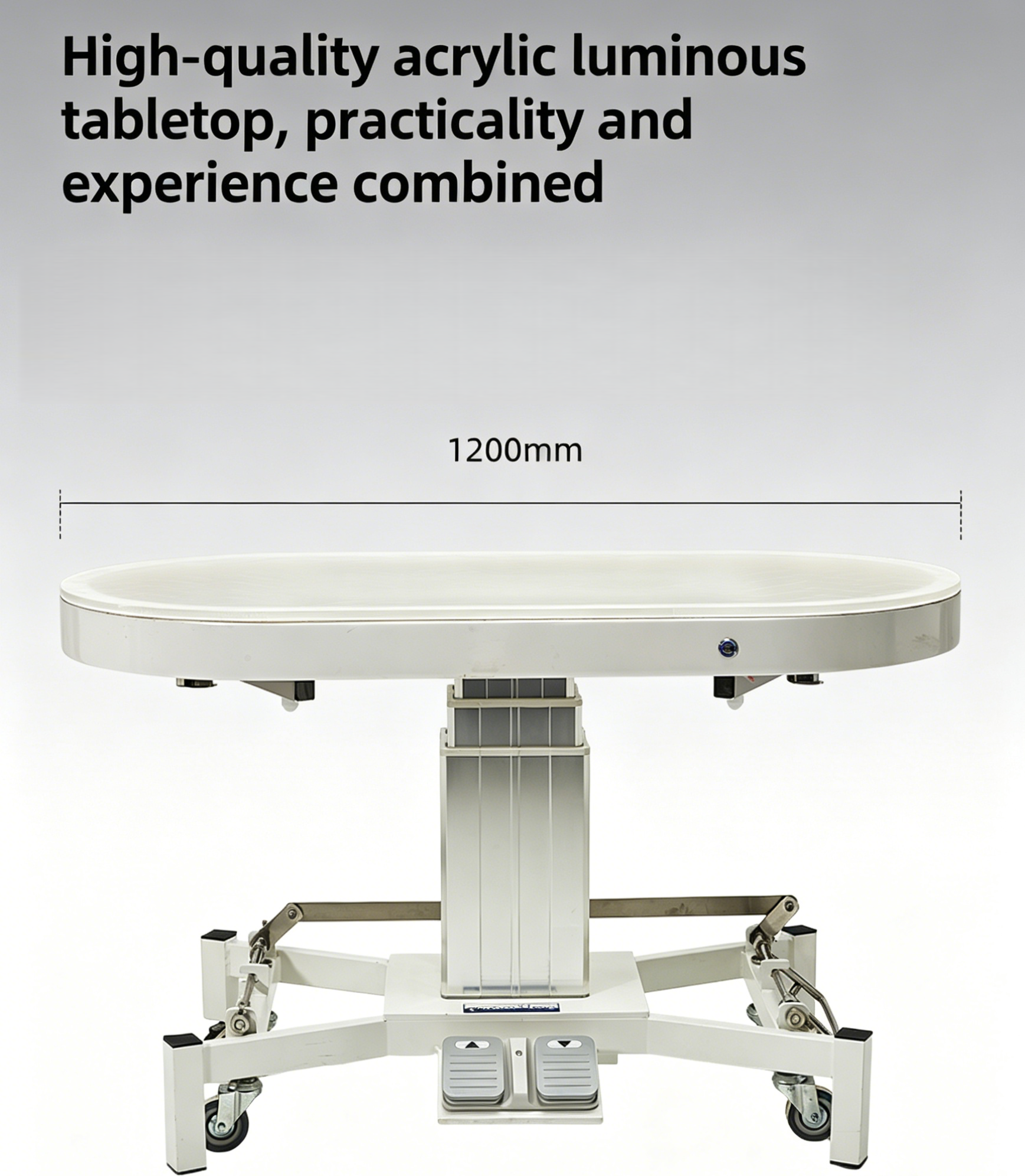 Electric Lift Pet Grooming Table Electric Lift Pet Grooming Table