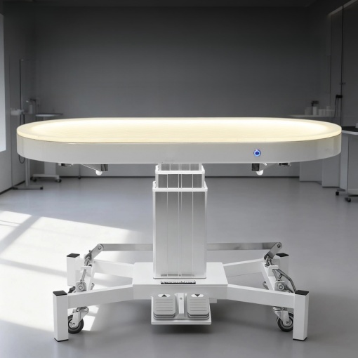 Luxury Illuminated Pet Grooming Table