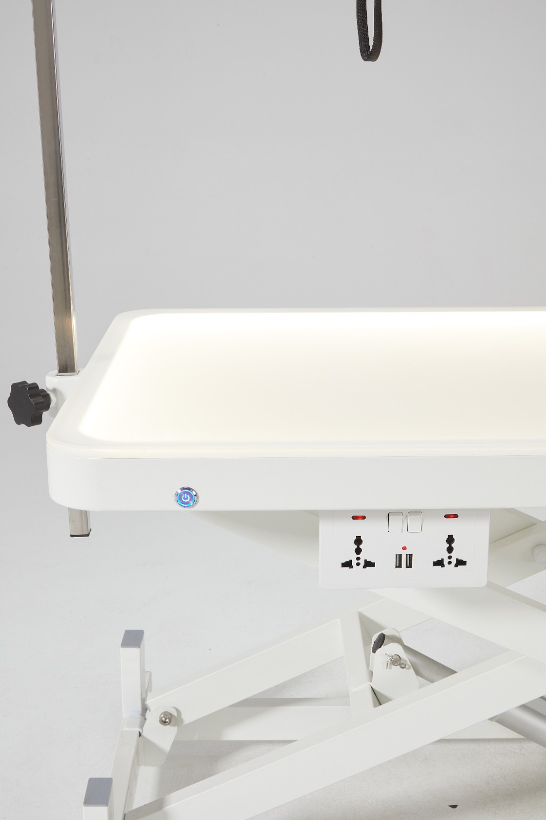 Electric Lifting Pet Grooming Table Electric Lifting Pet Grooming Table