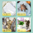 Cat Catnip Spray