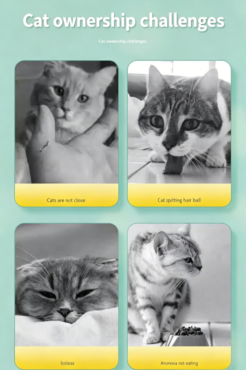 Cat Catnip Spray Cat Catnip Spray