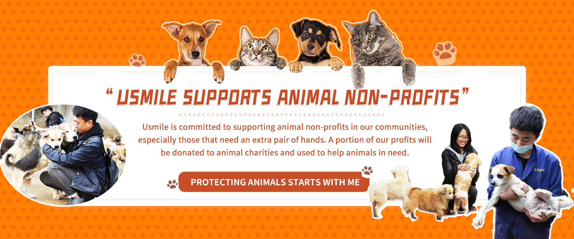 Top-tier Pet Equipment Supplier in China ★★★★★ Verified