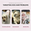 Amino Acid Fragrance Pet Shampoo