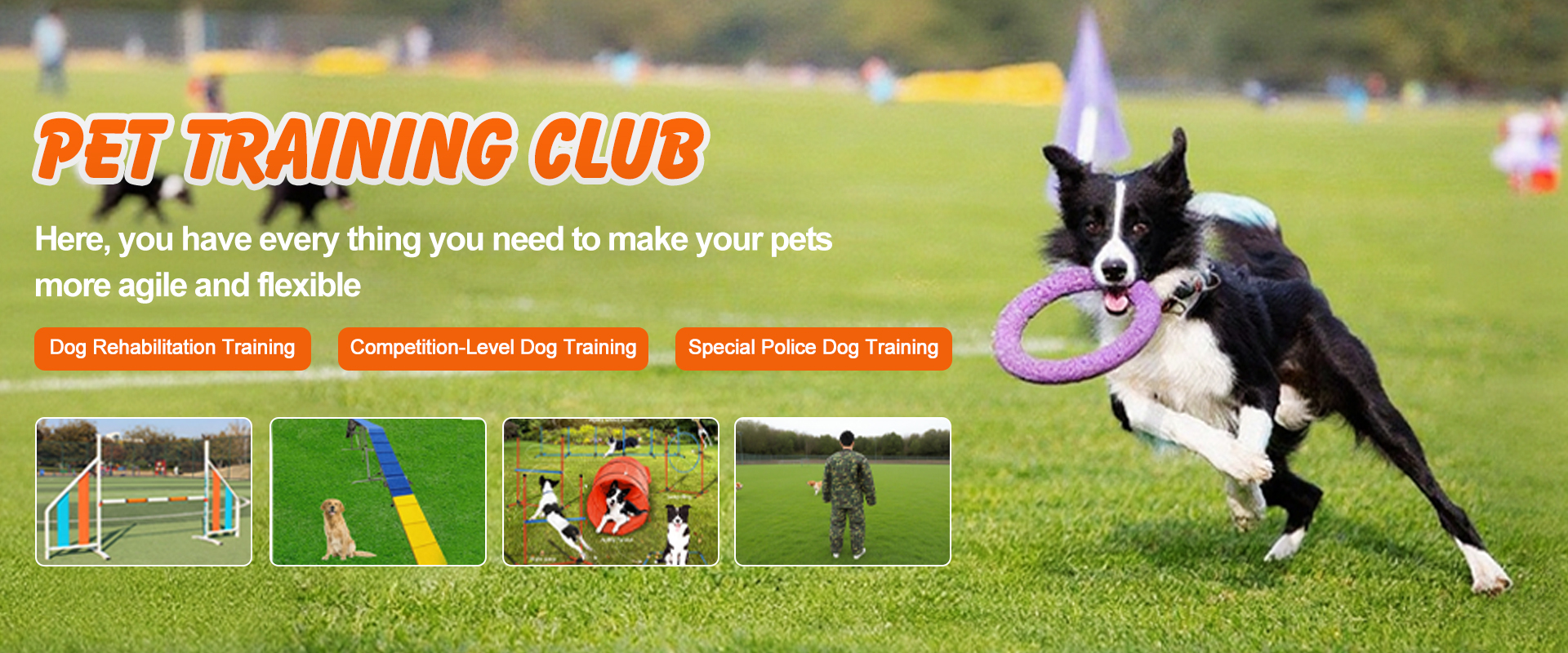 Top-tier Pet Equipment Supplier in China ★★★★★ Verified