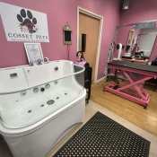 UK Luxury Pet Grooming Spa Full Equipment Supply Case | USMILEPET One-Stop Pet Salon Equipment Manufacturer
